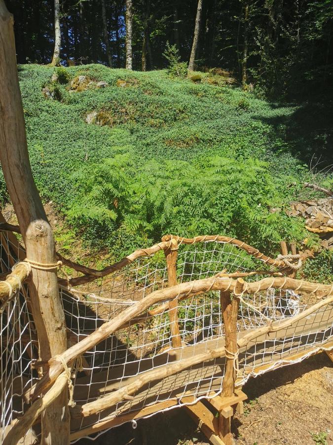 Gite Nature Au Pied Des Hetres Villa Vitrac-sur-Montane Bagian luar foto