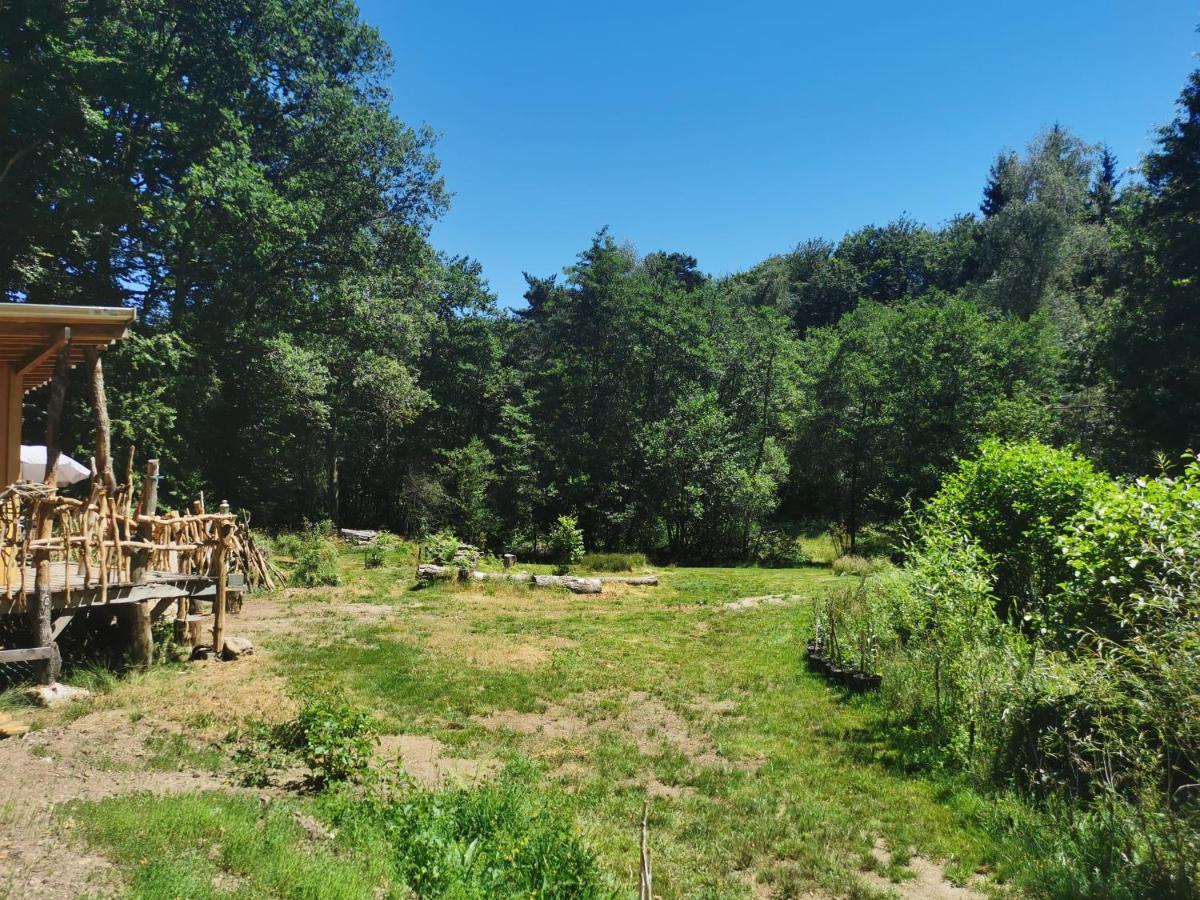 Gite Nature Au Pied Des Hetres Villa Vitrac-sur-Montane Bagian luar foto