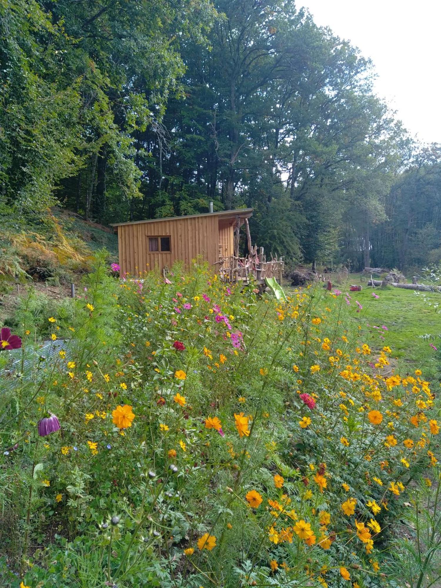 Gite Nature Au Pied Des Hetres Villa Vitrac-sur-Montane Bagian luar foto